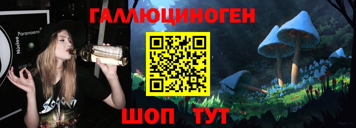 Псилоцибиновые грибы Psilocybe Белогорск